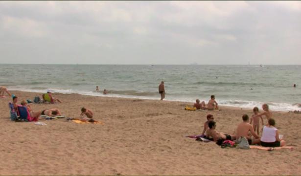 Harcelé à perdre la raison